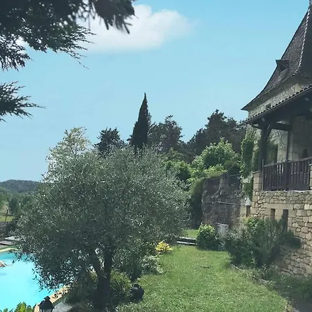 Le Pigeonnier De Sinzelle Saint-Cyprien (Dordogne)